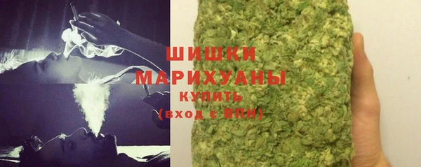 гидропоника Горнозаводск