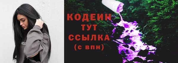гидропоника Горнозаводск