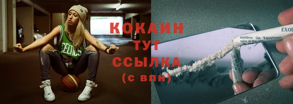 мдпв Горняк