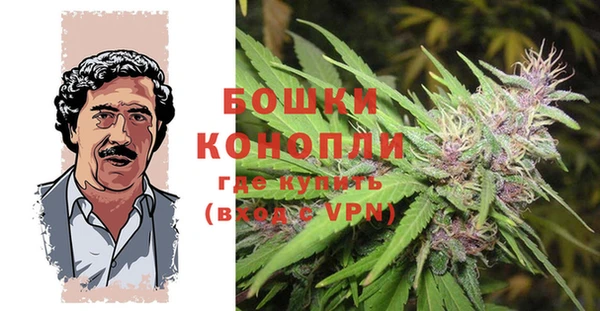 мдпв Горняк