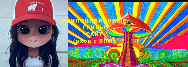 мдпв Горняк