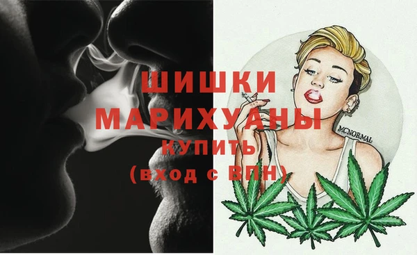 мдпв Горняк