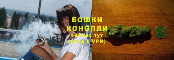 гидропоника Горнозаводск