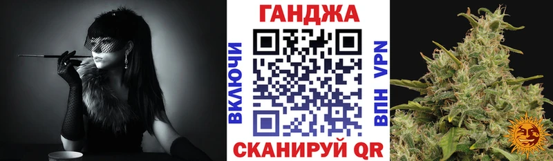 Конопля индика  Купить где  Шилка 